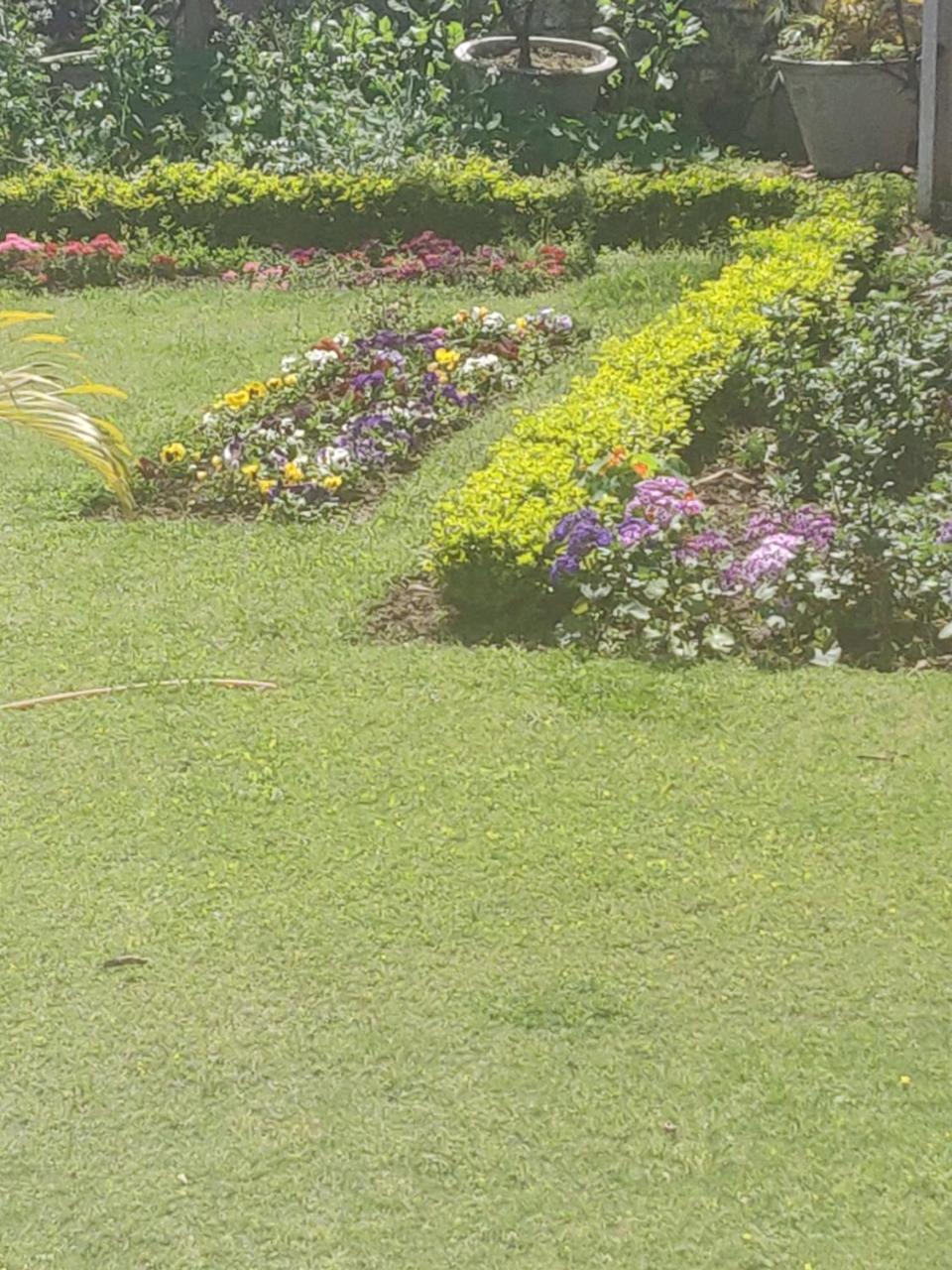 Heritage Homestay Jammu Εξωτερικό φωτογραφία